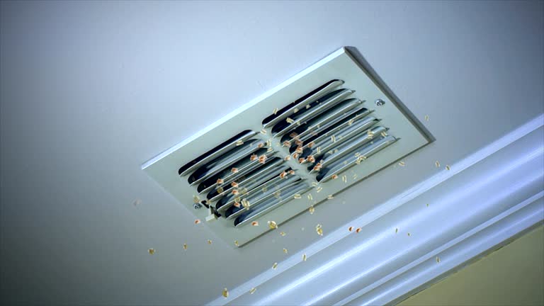 Best Affordable Duct Cleaning Services  in Bridgeview, IL
