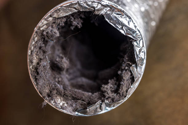 Best Ductwork Cleaning Services  in Bridgeview, IL