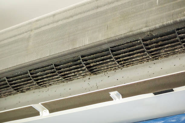 Air Duct Mold Removal in Bridgeview, IL